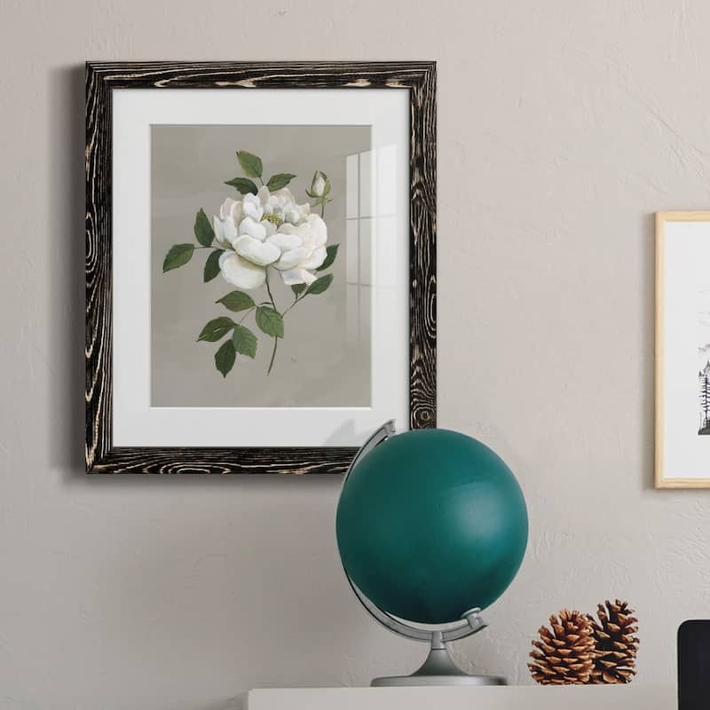 Botanical Rose-Premium Framed Print - Ready to Hang