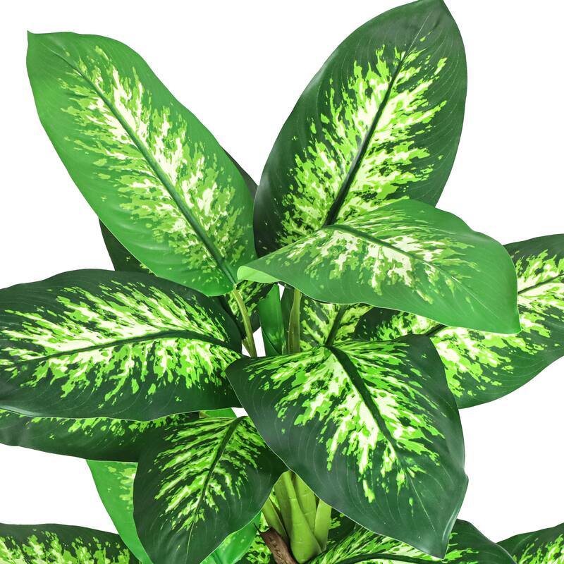5ft Large Real Touch Green Variegated Artificial Dieffenbachia Tree in Black Pot - 62" H x 36" W x 36" DP