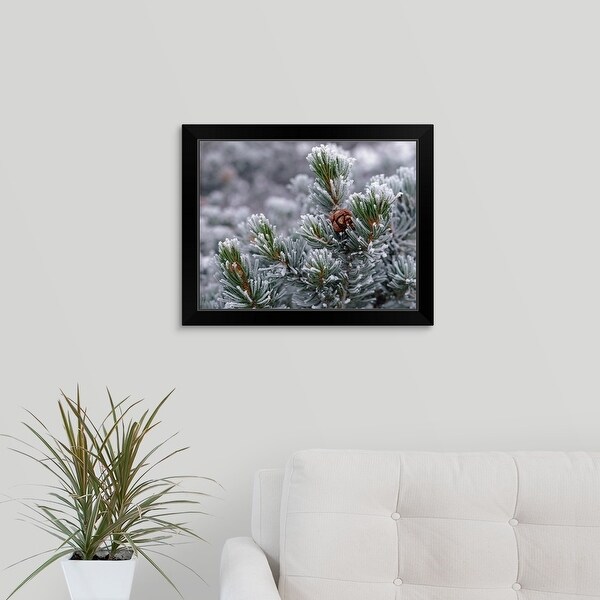 "Frost covered branches" Black Framed Print