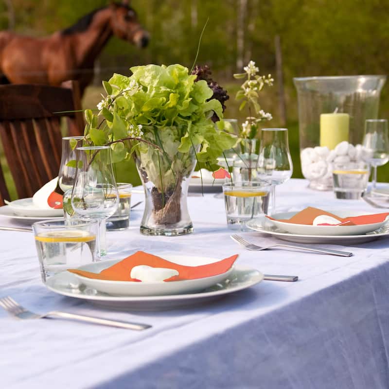 Renova Colored Dinner Disposable Paper Napkins Folded 1-Ply