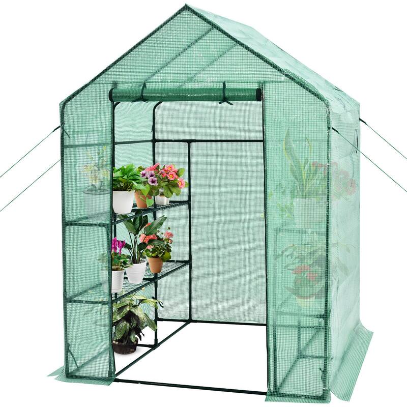 Gymax Walk-in Greenhouse 56''x56''x77'' Gardening w/Observation - See Details - Green - See Details