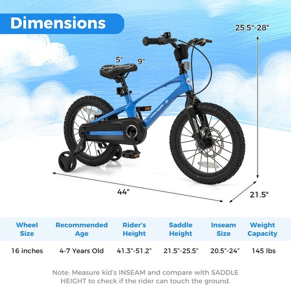 16 Inch Magnesium Alloy Training Bicycle with Adjustable Saddle
