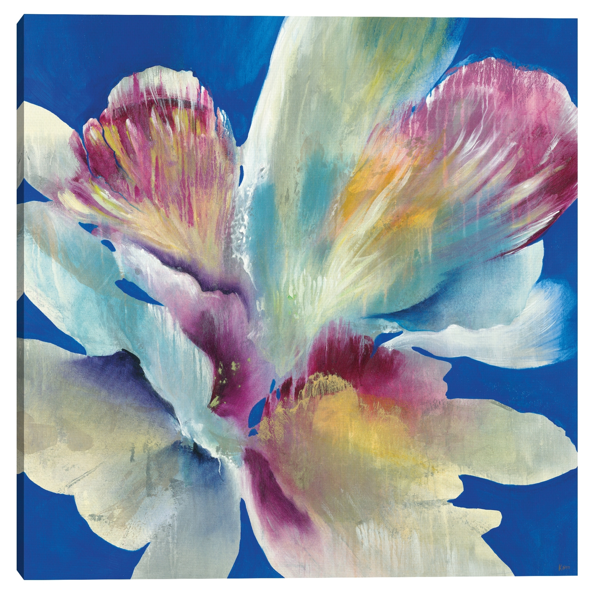 Believe in Beauty by K. Nari Canvas Art Print