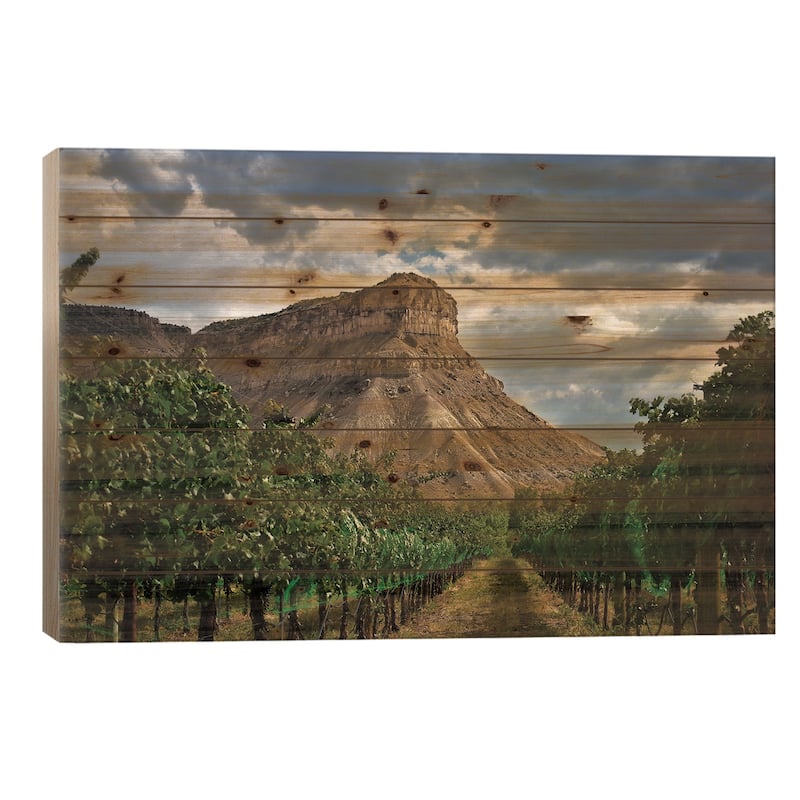 Colorado Wine Country Print On Wood by Christopher Thomas - Multi-Color - 18x26x1.5