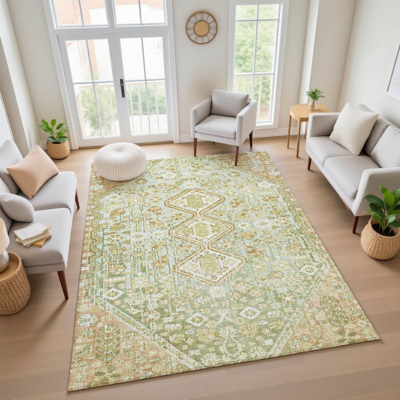Premium Washable Super Soft Traditional Global Mayfield Rug