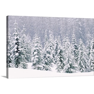 "Snow covered pine trees" Canvas Wall Art
