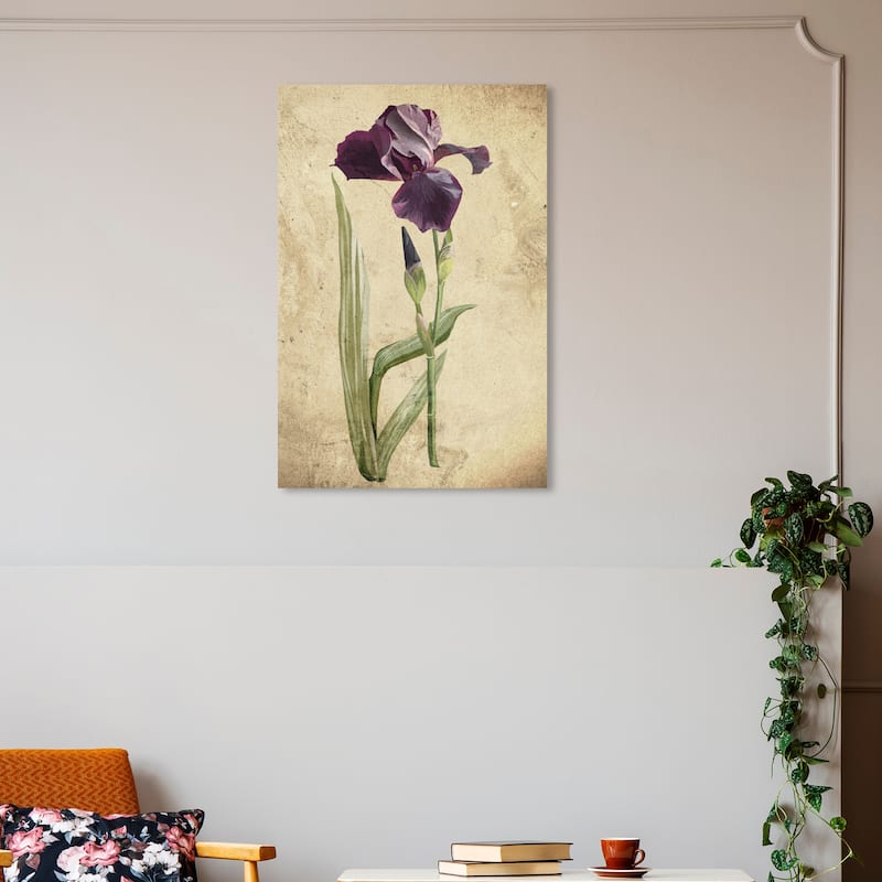 Wynwood Studio Canvas Floral and Botanical Violet Wine Botanical II Purple and Tan Rustic Wall Art Canvas Print - Purple, Brown - 30 x 20