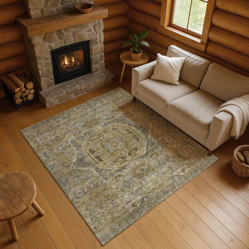 Premium Washable Super Soft Vintage Traditional Mayfield Rug - Brown - 2'6" x 3'10"