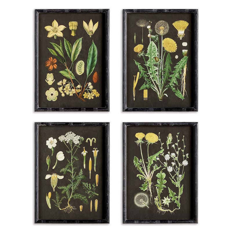 Golden Botanical Study