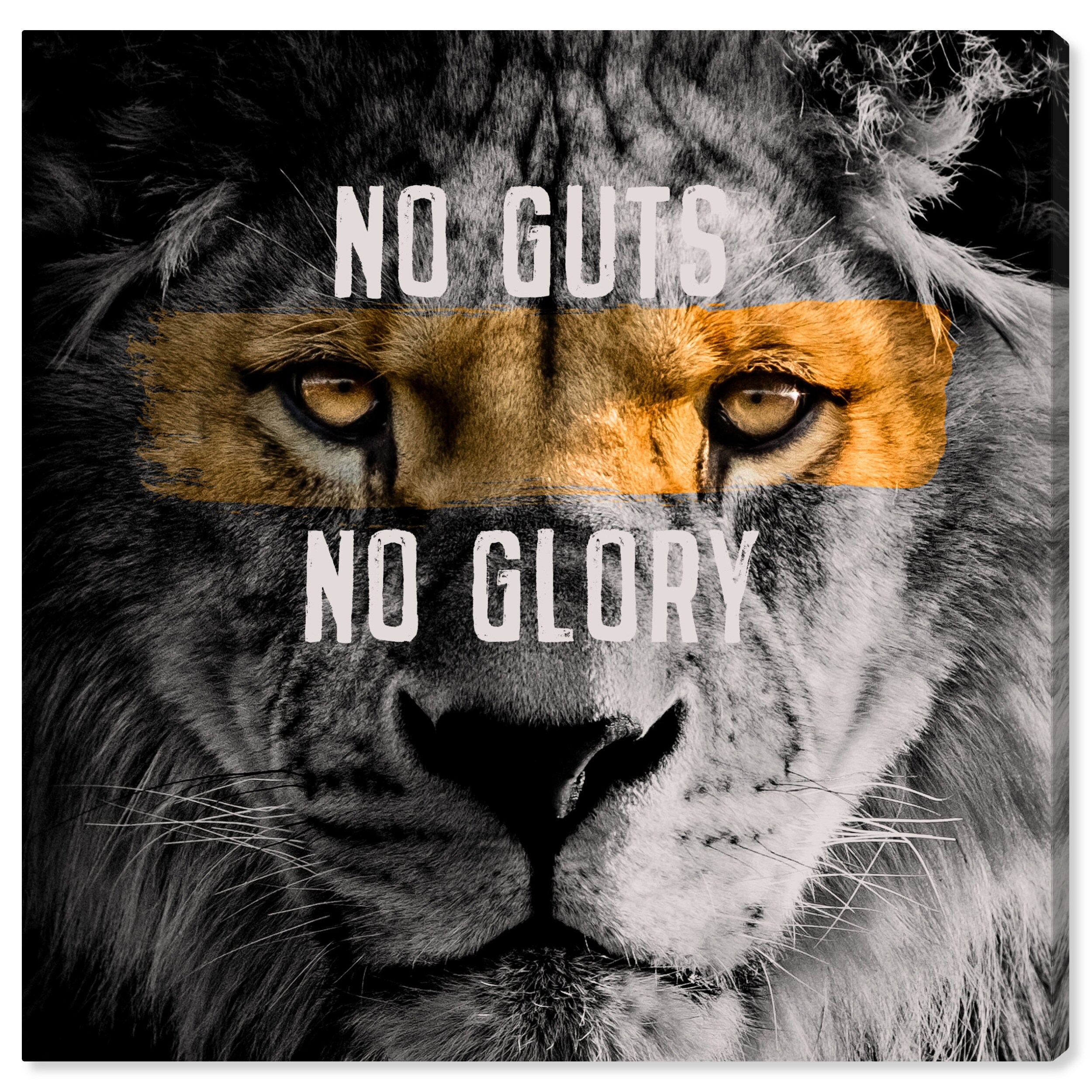 CARA LION(I’M NO’T A TROPHY) SIMBA 9, Lion, I'M NOT A TROPHY · Art photographs · YellowKorner