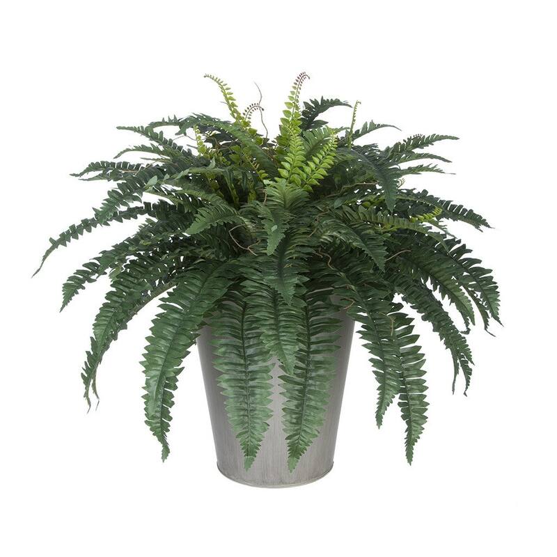 Faux Fern in Round Zinc Planter - Cream