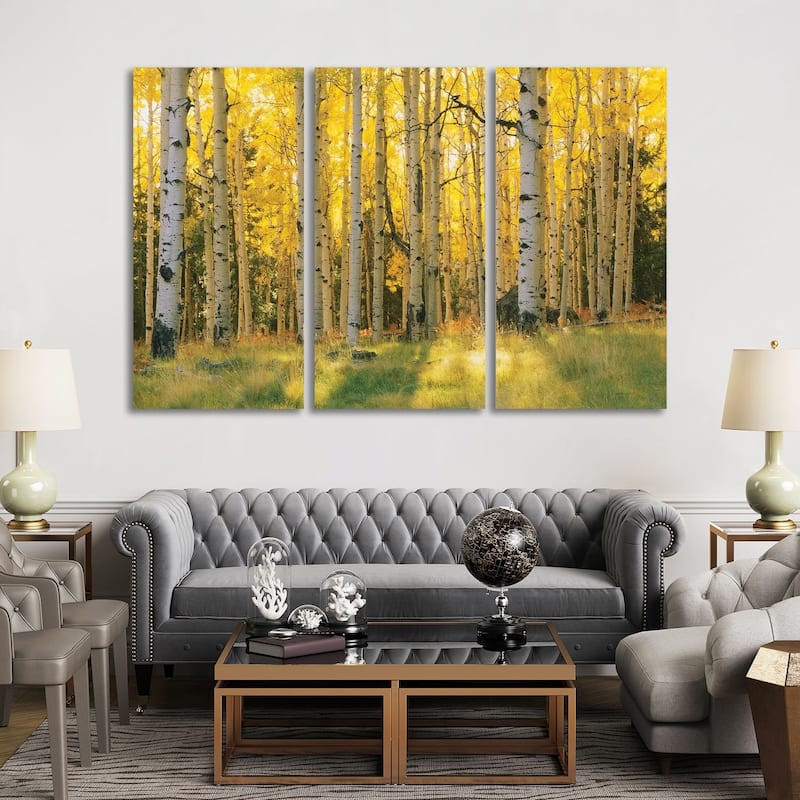 iCanvas "Aspen Trees In A Forest, Coconino National Forest, Arizona, USA" by Panoramic Images 3-Piece Canvas Wall Art Set
