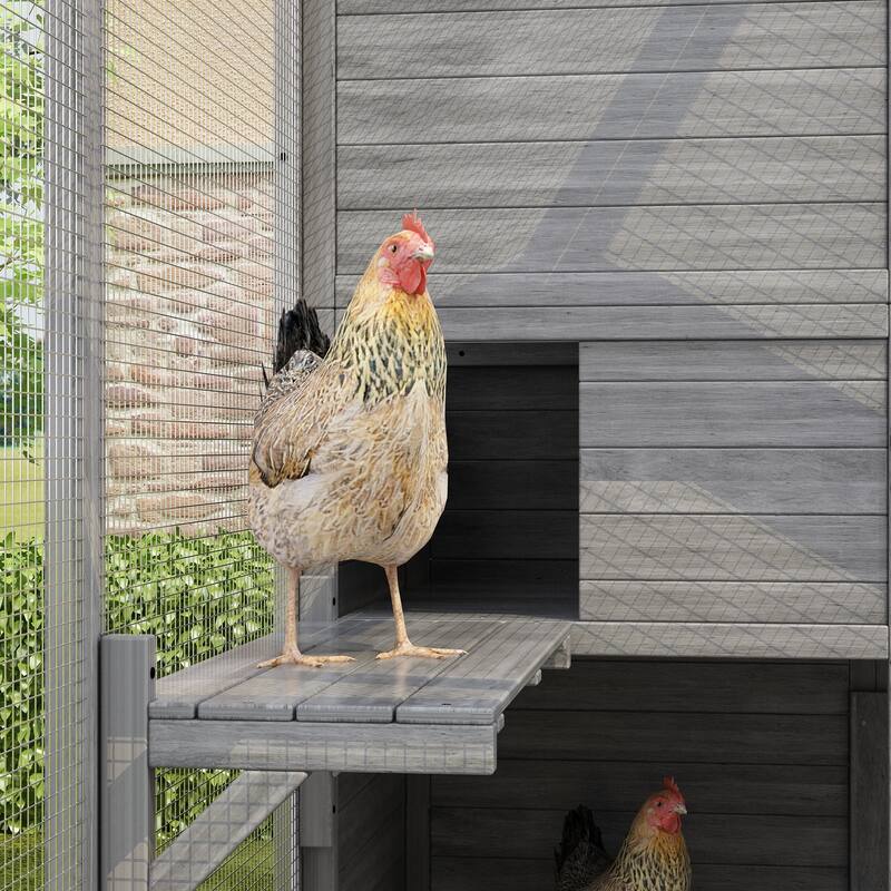 Multi-Functional Wood Chicken Coop Hen House or Cat Cage with Wire Mesh Run