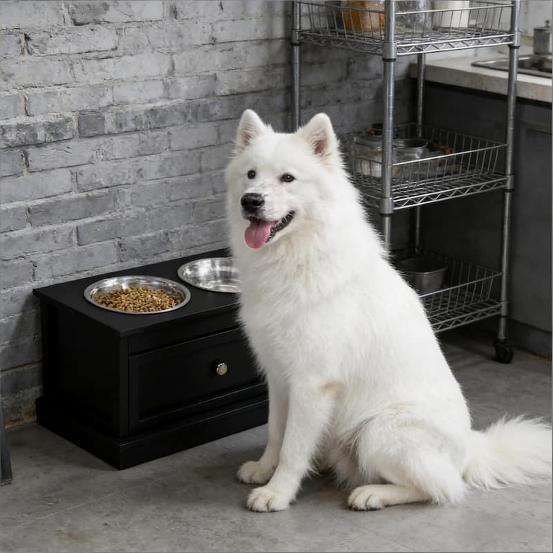 Pet Food Bowl Dog Feeding Station