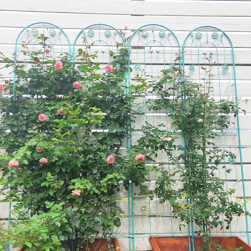 4 Pack Metal Garden Trellis 86.7" x 19.7" Rustproof Trellis for Climbing Plants Outdoor Flower Support Green