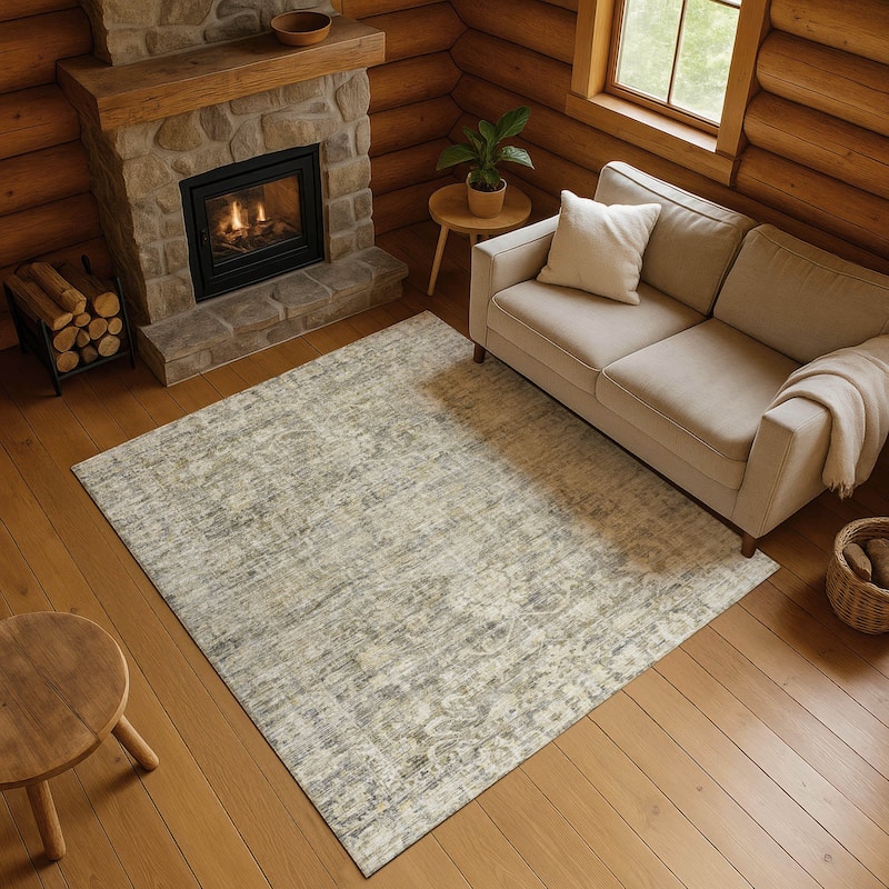 Premium Washable Super Soft Vintage Traditional Mayfield Rug - Pewter - 3' x 5'