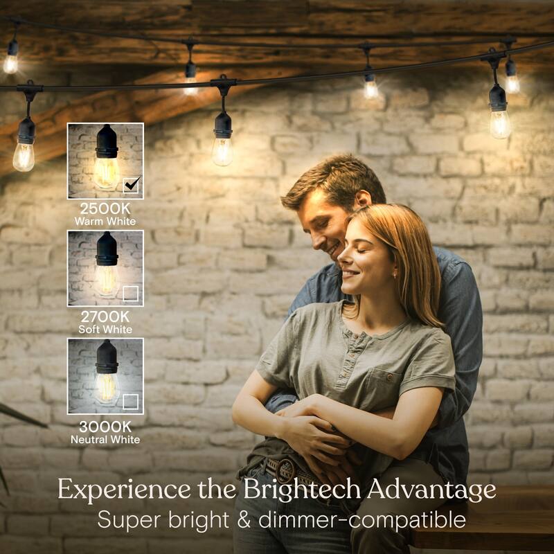 Brightech Ambience Pro 15-Light 48 ft. Outdoor Plug-in 2W 2500k LED S14 Hanging Edison Bulb String-Light