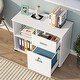 preview thumbnail 2 of 20, Mobile Lateral File Pedesta, 2 Drawer File Cabinet with Lock