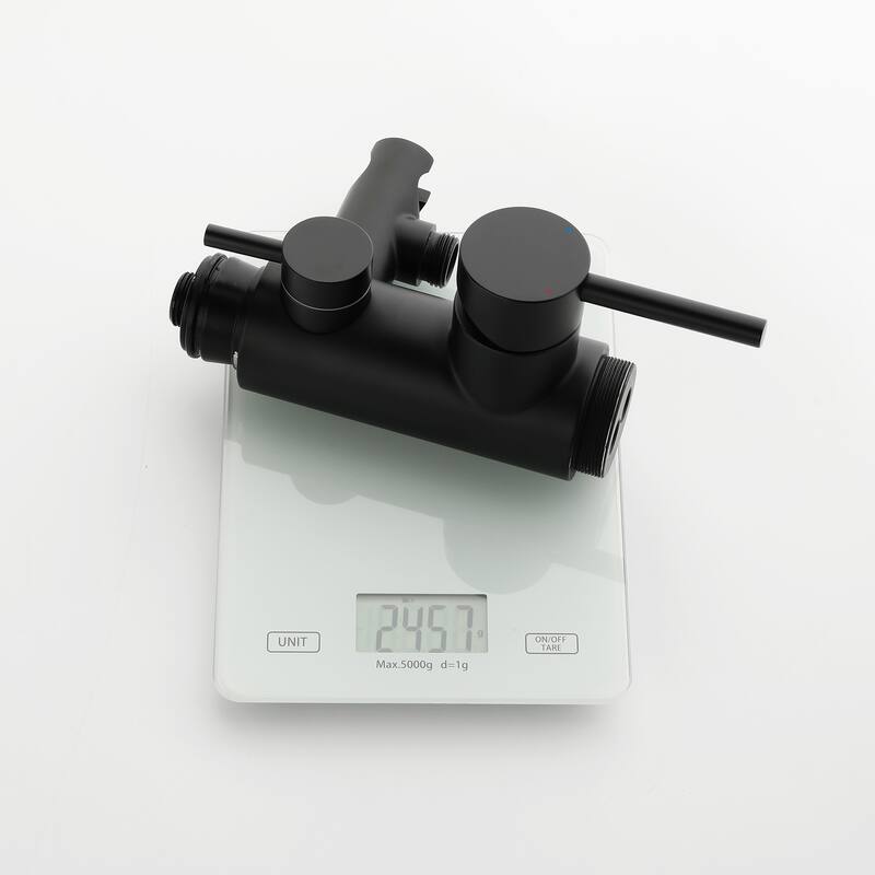 81"H Stainless Steel Freestanding Outdoor Shower with Handheld Shower