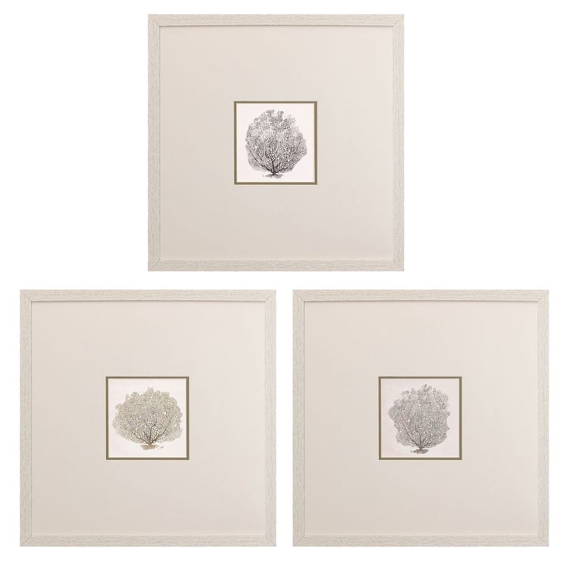 Corals B S/3 Framed Art Print Under Glass - 19 X 19 X 1