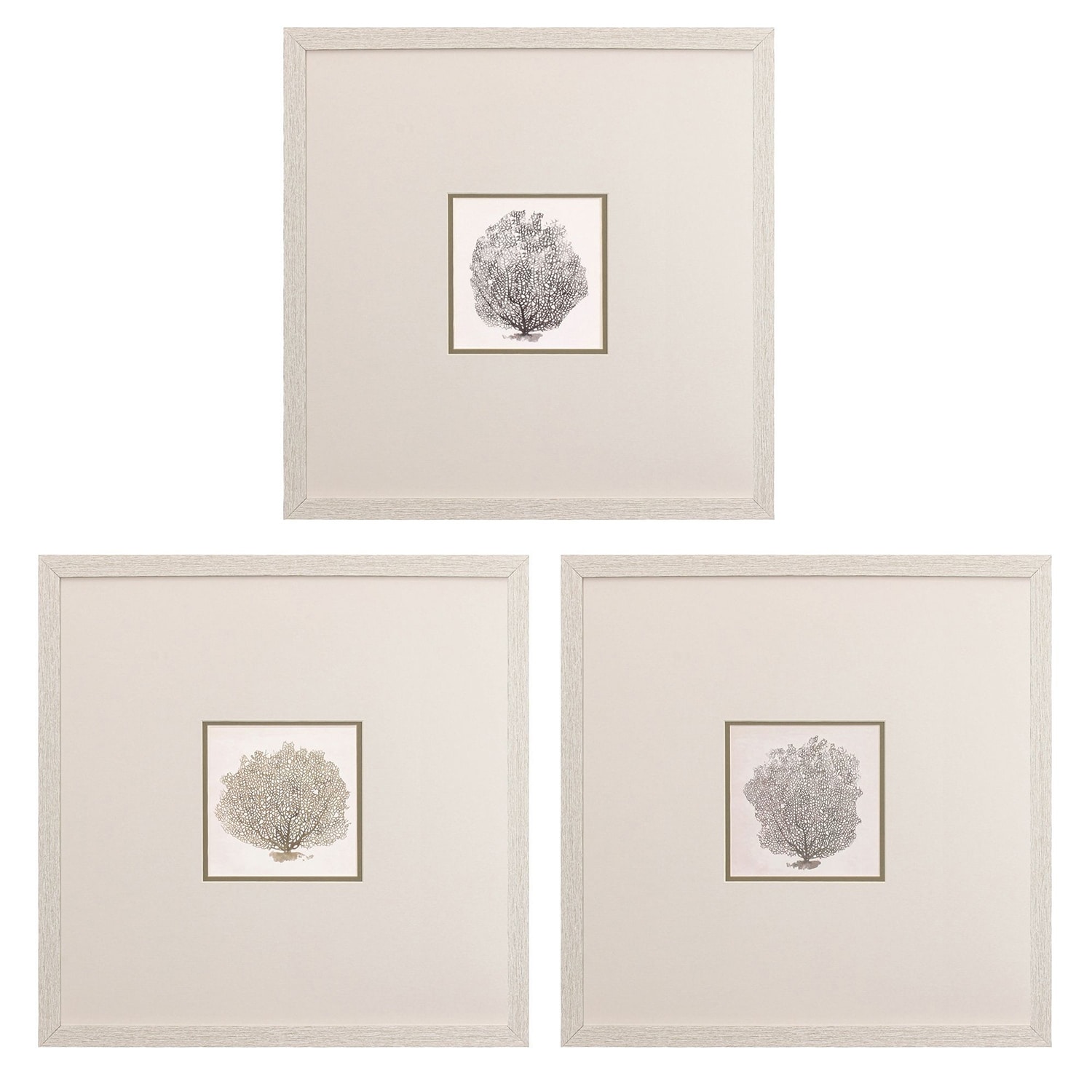 Corals B S/3 Framed Art Print Under Glass
