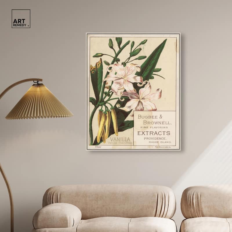 Vanilla Planifolia Canvas by Art Remedy