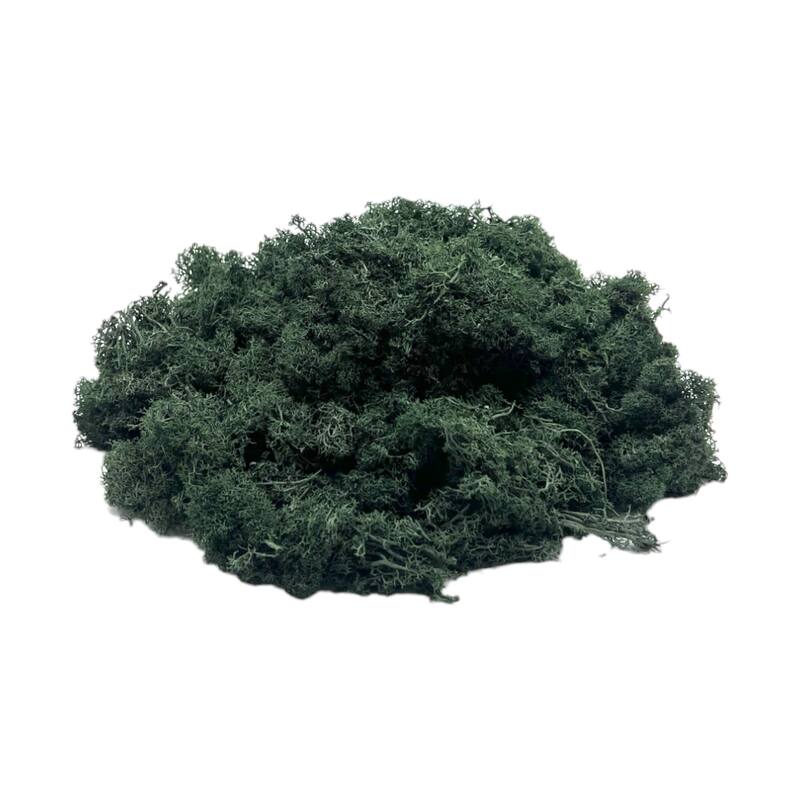 Preserved Reindeer Moss in Multiple Colors