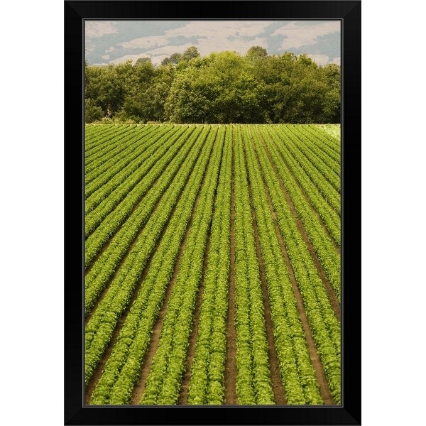 "High angle view of a farm, California, USA" Black Framed Print