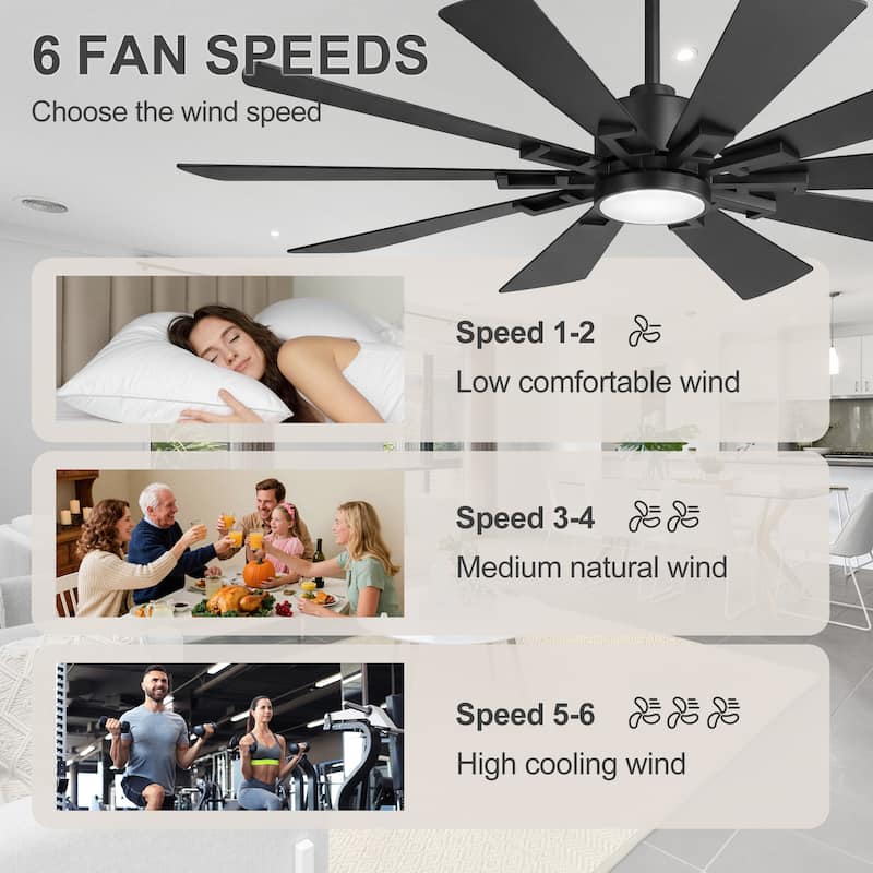 62/72-Inch Reversible 10-Blade Large Ceiling Fan with Light and Remote