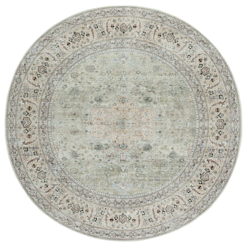 SAFAVIEH Arizona Polyxeni Machine Washable & Slip Resistant Rug - 6' Round - Light Green/Beige