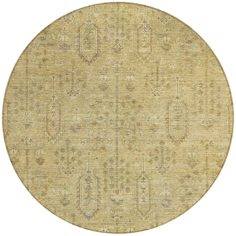 HomeRoots Southwestern Transitional Rectangle Outdoor Rug