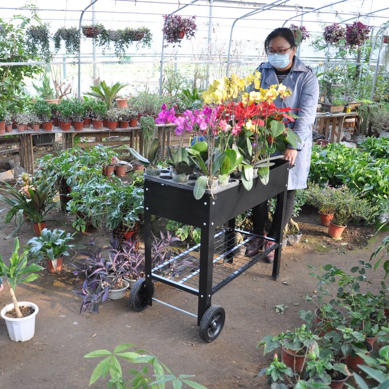 Metal Elevated Planter with Switchable Drainage Wheels and Storage Shelf for Patio or Balcony - 36.2”L x 16.7”W x 31.9”H