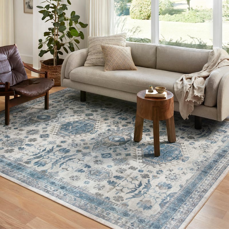 Alexander Home Meghan Vintage Shabby Chic Distressed Area Rug - 2'  x 5' - Ivory / Ocean - Runner/Rectangle