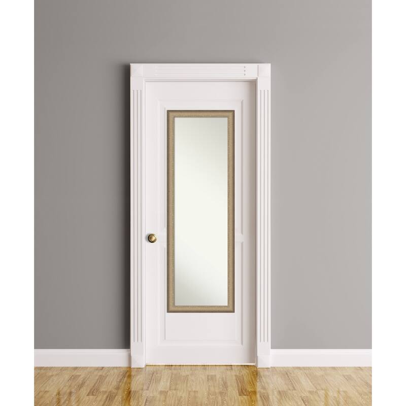 Non-Beveled Full Length On The Door Mirror - Elegant Brushed Frame