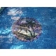 preview thumbnail 5 of 3, Blue Hawaiian Hibiscus Decorative Pool Mat - Pool Art