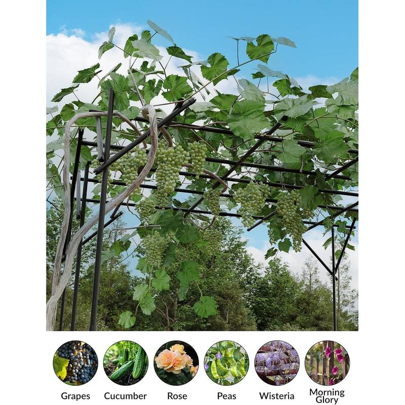 Modern Square Garden Trellis Geometric Plant Stand