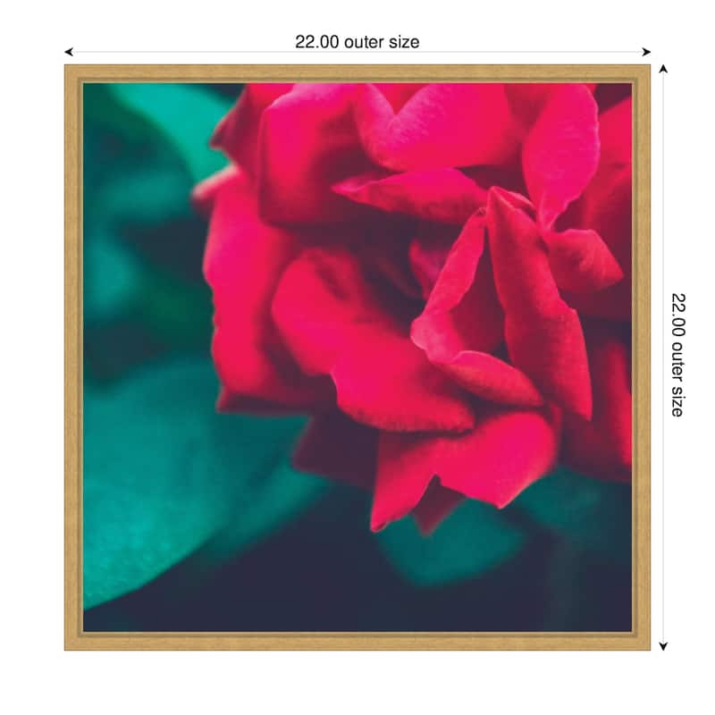 Kate and Laurel Sylvie Red Velvet Garden Rose Framed Canvas by Stephanie Klatt