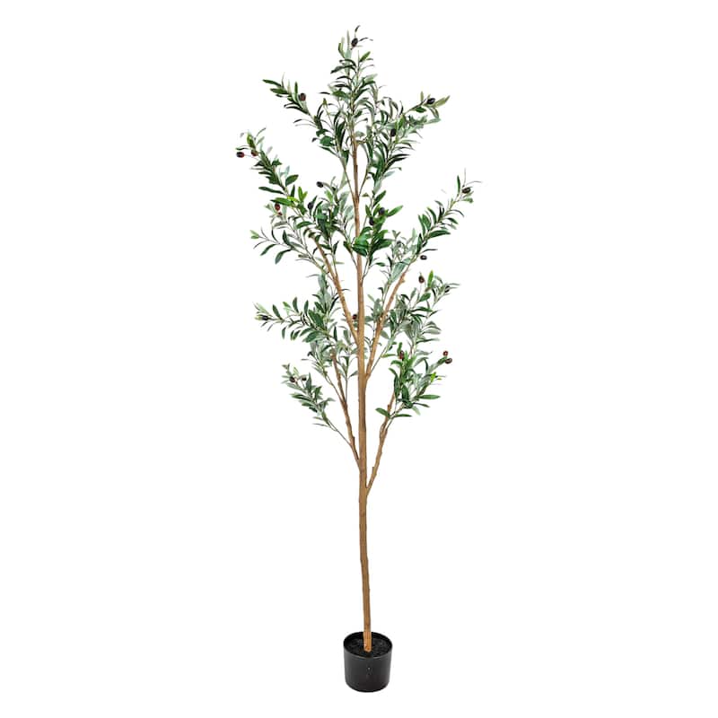 HomeRoots Set of Two 72" Green Artificial Olive Trees in a Black Pots - 25.00 in. x 72.00 in. x 25.00 in.