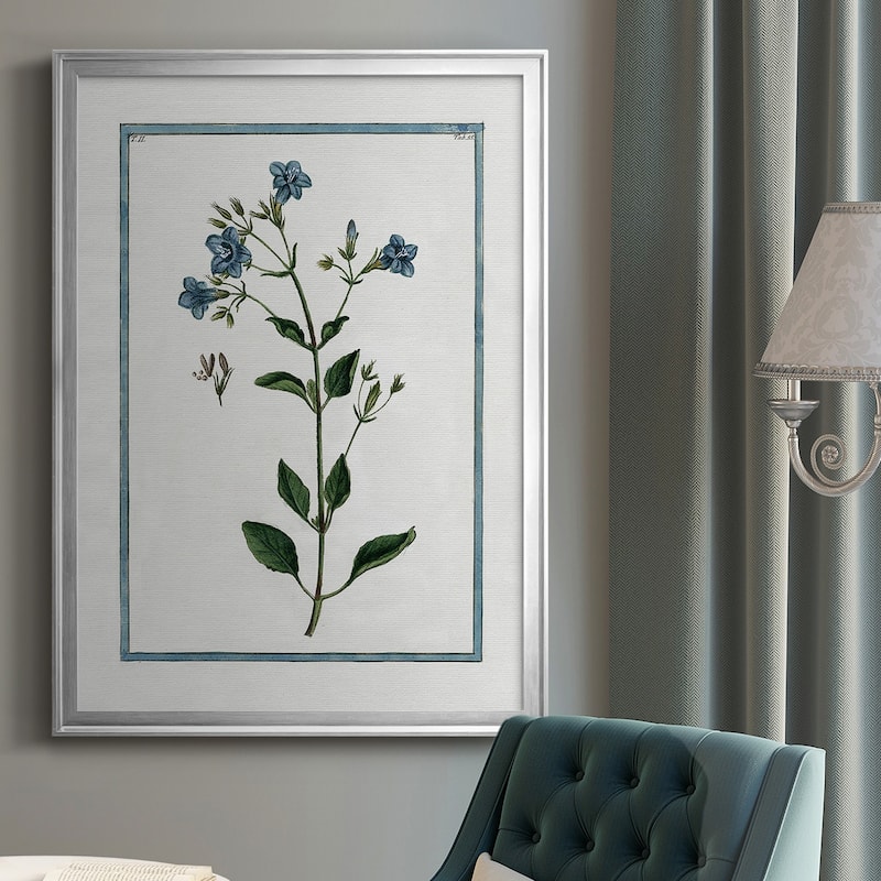 Shabby Chic Botanical II Premium Framed Print - Ready to Hang