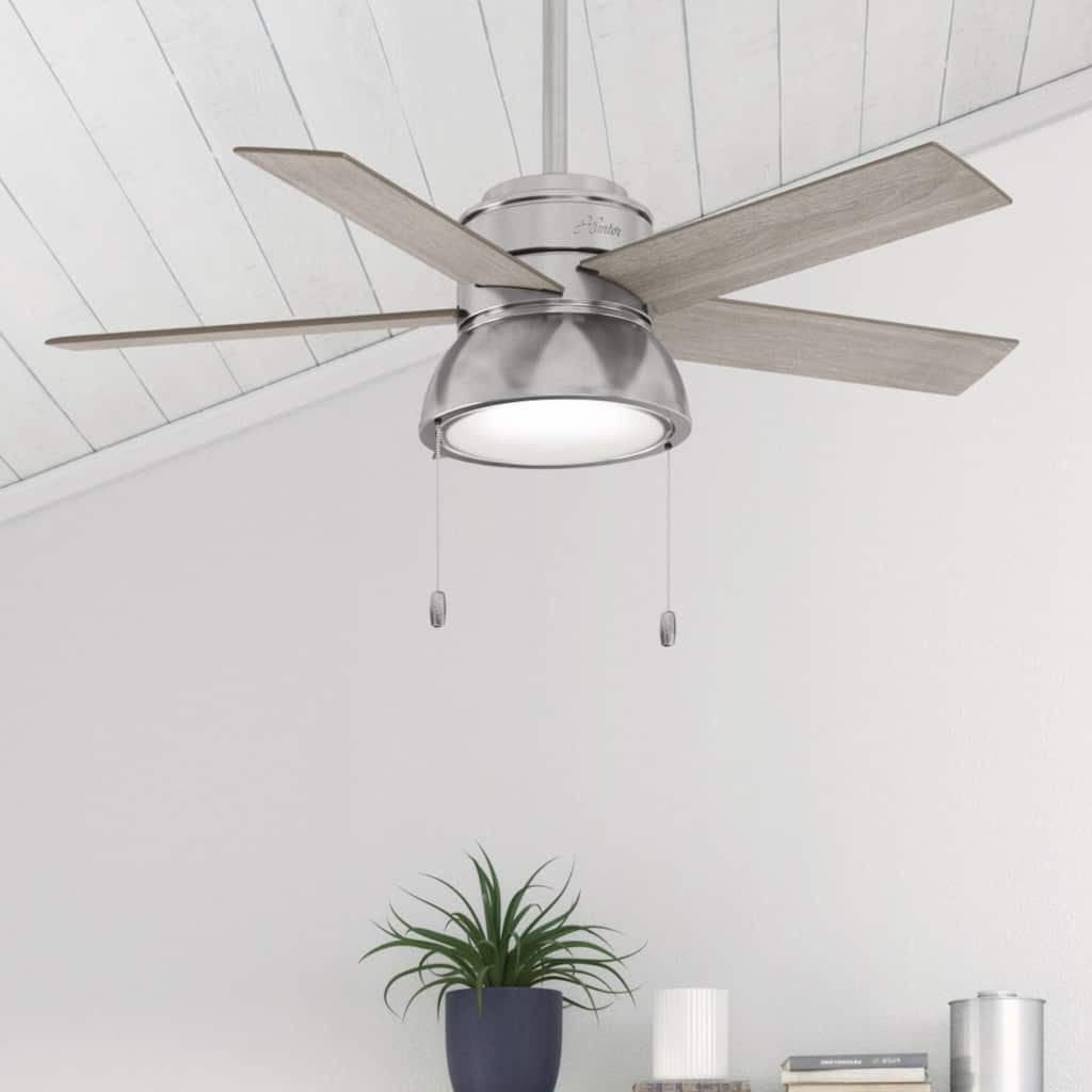Hunter 44" Lilliput Indoor Ceiling Fan with LED Light, Pull Chain - Modern Industrial, Farmhouse - Exclusive SureSpeed!