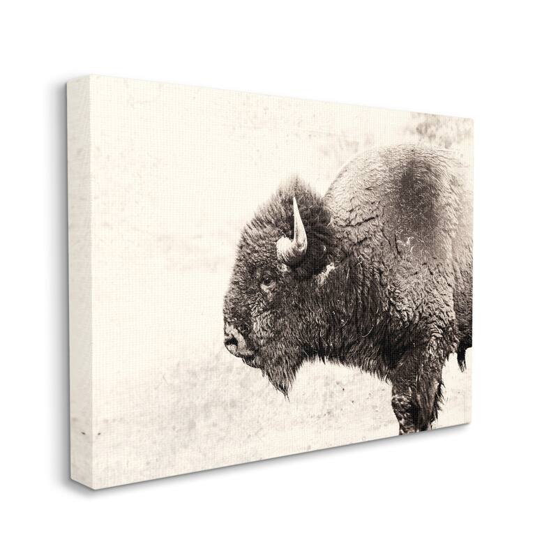 Stupell Shaggy Buffalo Rustic Portrait Vintage Sepia Tone Photography Canvas Wall Art - Black