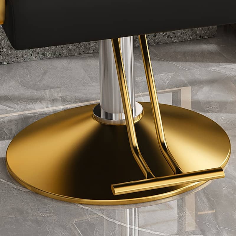 Roomfitters Hydraulic Salon Chair, 360 Swivel Styling Chair with Gold Base, Professional Barber Equipment, Black