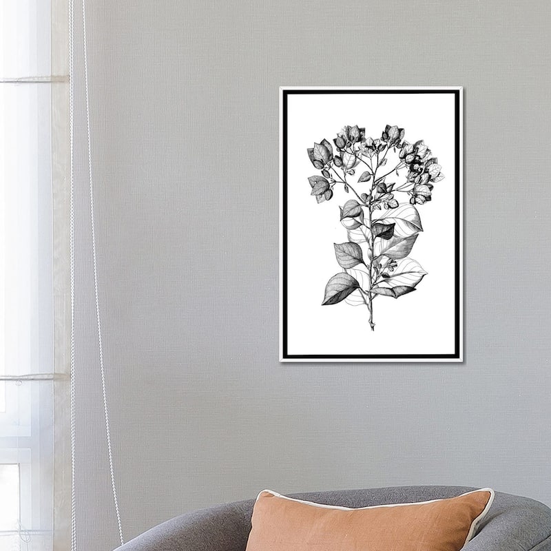 iCanvas "Botanical Black And White I" by Kelly Donovan Framed