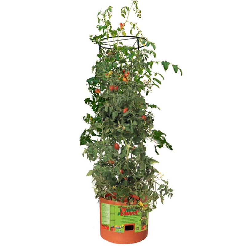 Hydrofarm GCTB Tomato Barrel Pot Garden Planting 4 Foot Trellis System (2 Pack) - 14