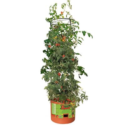 Hydrofarm GCTB Tomato Barrel Pot Garden Planting 4 Foot Trellis System (2 Pack) - 14