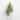 Milltown Merchants Christmas Tree Night Lights - N/A