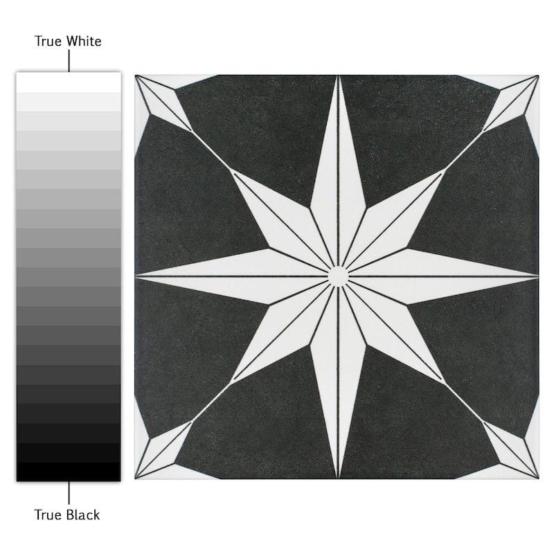 Merola Tile Stella Night 9-3/4" x 9-3/4" Porcelain Floor and Wall Tile