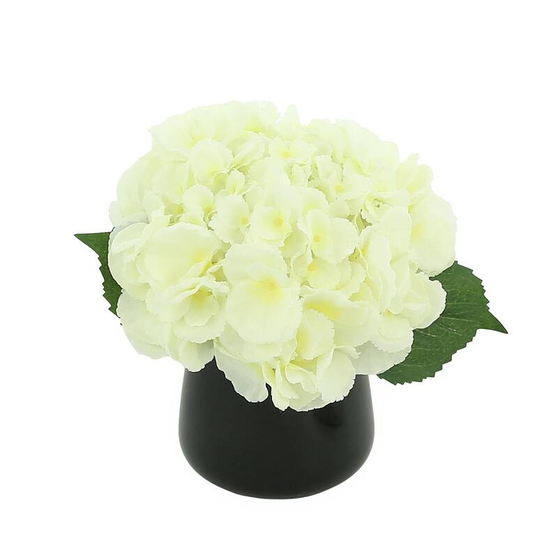 Hydrangea Arrangement in a Glass Vase - White,Black
