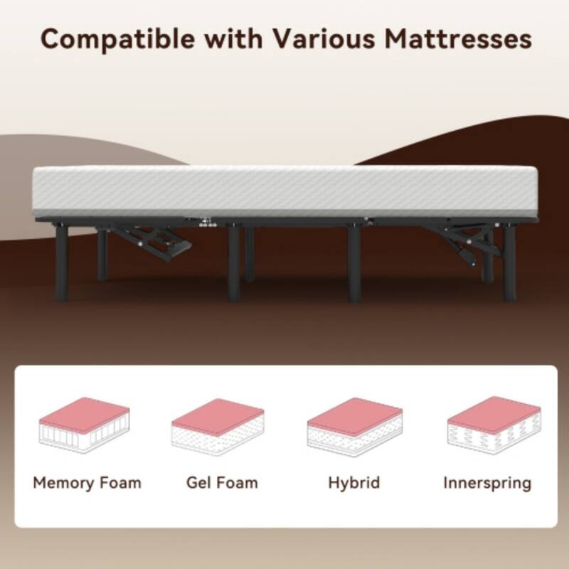 Queen Size Modern Zero Gravity Base Adjustable Bed Frame with Dual USB A+C Ports and Remote Control