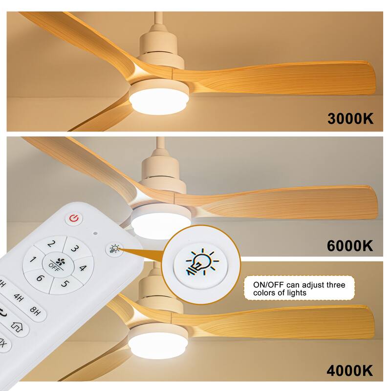 Morden LED Ceiling Fan with Light and Remote